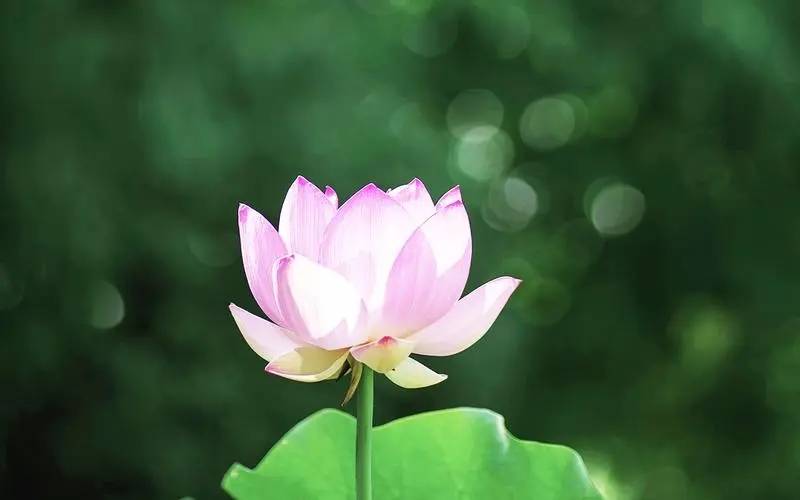 读：牌阵与深度解析指南开元棋牌塔罗牌财运解