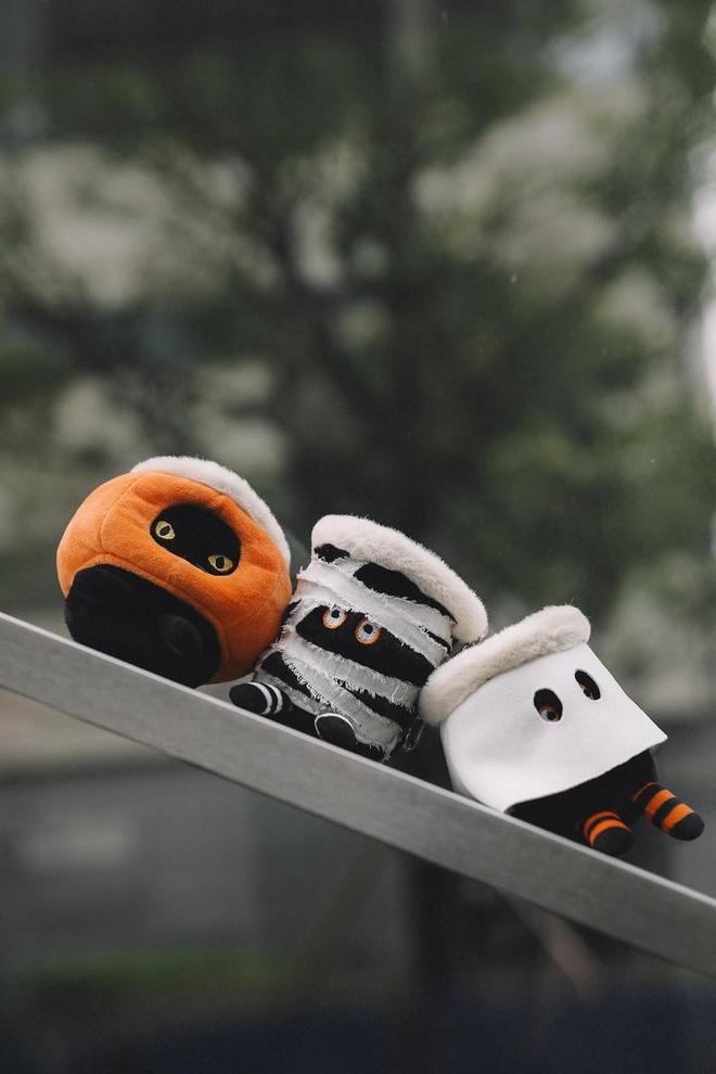 Pocket 4 机身图流出三星三折叠亮相采用内折方案开元棋牌早报｜小米汽车新动作曝光：雷军成立架构部门大疆(图27)